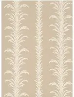Little Greene Carta da parati Lauderdale - Stone