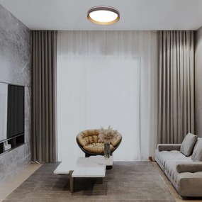 Rabalux 71308 - Plafoniera LED dimmerabile LADAN LED/48W/230V 3000-6500K + TC