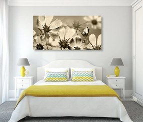 Stampa su tela – Fiori da giardino in versione seppia