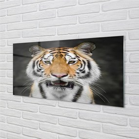 Quadro acrilico Tigre 100x50 cm