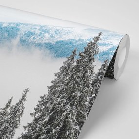 Fotomurale – Alberi di pino innevati