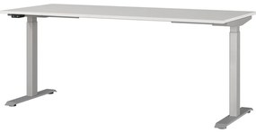 Scrivania regolabile elettricamente 80x180 cm Agenda - Germania