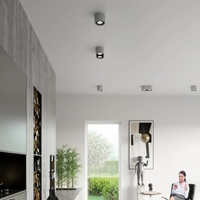 Lampada da soffitto BASIC 2 in Cemento 2 basi AR111 - Grigia