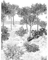 Isidore Leroy Carta da parati panoramica Dune Gris - Gris - Bahnen 4/5/6