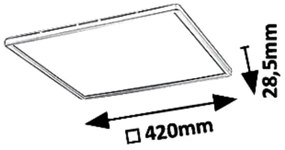 Rabalux 3430 - Plafoniera LED dimmerabile PAVEL LED/22W/230V
