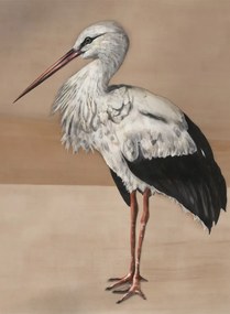 Coordonne Carta da parati panoramica Stork Mother - Nude