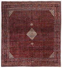 Bidjar Tappeto persiano 340 x 360 (Iran) Annodato A Mano