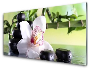 Quadro di vetro Pietre di orchidea Bambù 100x50 cm