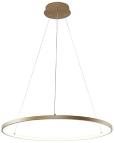 Zuma Line 2023201-GD60 - Lampadario LED a sospensione con filo BRENO LED/28W/230V 3000/4000/6000K