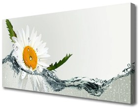 Quadro su tela Margherita in acqua Pianta 100x50 cm