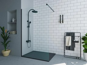 Porta per doccia walk-in 120 x 200 cm Nero opaco Stile industriale - DAREN