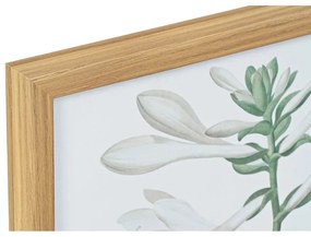 Quadro DKD Home Decor Piante botaniche (2 pezzi) (43 x 3 x 53 cm)