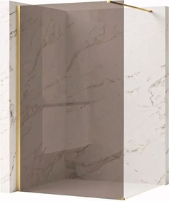 Parete doccia Rea Flexi Brown / Brush Gold 110