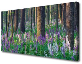 Quadro stampa su tela Foresta dell'albero della natura 100x50 cm
