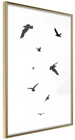 Poster  Birds  Cornice Quadri Cornice d'oro, Larghezza x Altezza Home decor 20x30