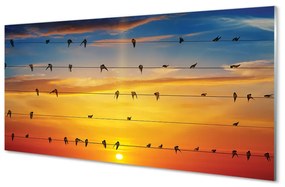 Quadro acrilico Uccelli sul tramonto delle corde 100x50 cm