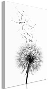 Quadro Dandelion (1 Part) Vertical  Colore bianco e nero, Dimensioni e Misure 40x60