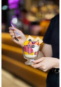 Set di bicchieri da gelato 2 pz 250 ml Soho – Vialli Design