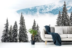 Fotomurale – Alberi di pino innevati