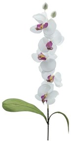 Orchidea in Plastica 74 cm Bianco