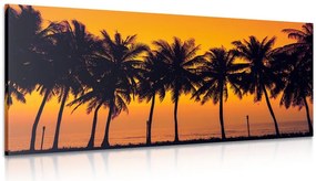 Stampa su tela – Tramonto sulle palme