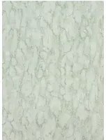 Nina Campbell Carta da parati Kershaw Plain - Aqua/ Ivory