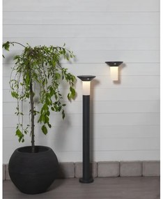 Eglo 900244 - Lampada solare da esterno a LED con sensore 6xLED/0,03W/3,7V IP44