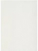 Paint & Paper Library Carta da parati Seedpod - Steel 3
