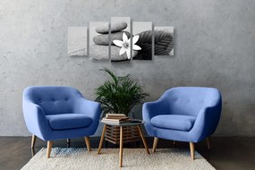 Quadri 5 pezzi – Fiore e pietre nella sabbia in bianco e nero
