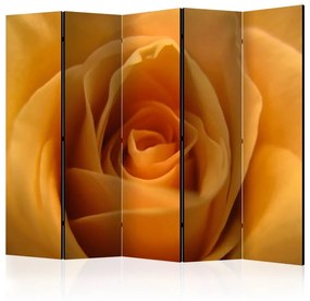 Paravento Yellow rose – a symbol of friendship II [Room Dividers]