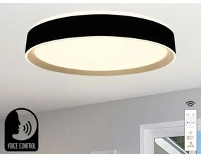 Plafoniera LED dimmerabile con controllo vocale OPAL LED/48W/230V + +TC