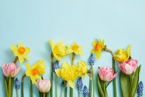 Carta da parati autoadesiva – Composizione floreale primaverile