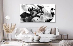 Stampa su tela – Magica armonia di pietre e orchidee in bianco e nero