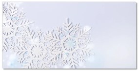Quadro acrilico Fiocchi di neve Inverno Neve 100x50 cm