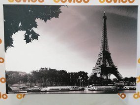 Quadro su tela – Parigi in autunno in bianco e nero
