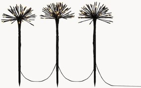 Set di 3 lampade da giardino a LED Pusteblume