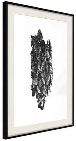 Poster  Texture of a Tree  Cornice Quadri Cornice nera con pass-partout, Larghezza x Altezza Home decor 30x45