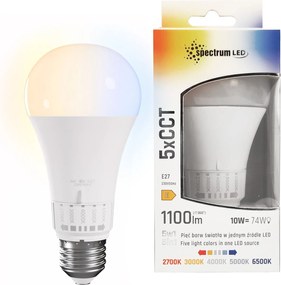 Lampadina LED 5 tonalità di luce GLS E27 230V 10W 5CCT