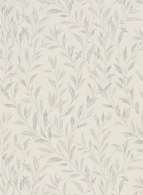 Florale Tapete Osier von Sanderson - Dove/ Chalk