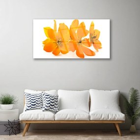 Quadro acrilico Fiori di piante arancioni 100x50 cm