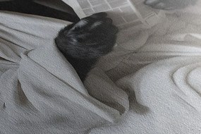 Stampa su tela – Gorilla con giornali in bagno