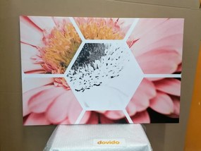 Quadro su tela – Gerbera in esagono