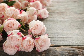 Carta da parati – Rose romantiche