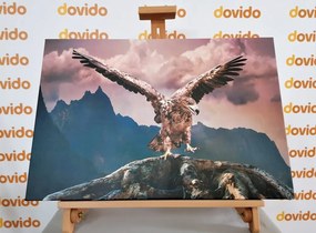 Stampa su tela – Aquila con ali spiegate sopra le montagne