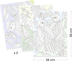 Disegni da colorare - Uccelli