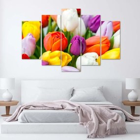 Quadri Quadro 5 pezzi Stampa su tela Fiori di tulipani colorati  Dimensioni 150x100