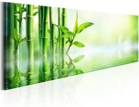 Quadro Green Bamboo  Colore Verde, Dimensioni e Misure 135x45