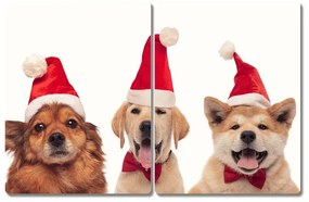 Tagliere in vetro Cani di Babbo Natale Natale 60x52 cm