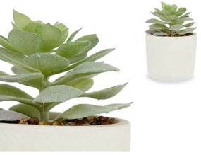 Pianta Decorativa Succulenta Plastica 14 x 13,5 x 14 cm (12 Unità)
