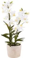 Orchidea Artificiali con Vaso Altezza 51 cm Bianco